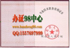 办证98中心提供：湖北省专业技术职务资格证书样本